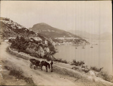 Carlo Brogi, Italia, Contorni