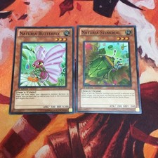 Yu-Gi-Oh Naturia Stinkbug