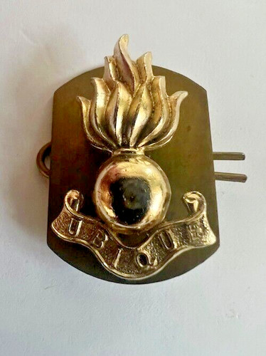 Collar dog insignia with back - insignia,
