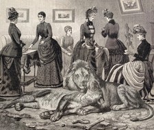 ORIGINALE ARTE antico vittoriano leone tigre gotico tatuaggio tassidermia sport tennis inchiostro