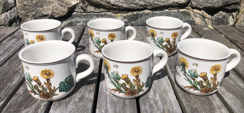 Villeroy boch botanica 6 - &,
