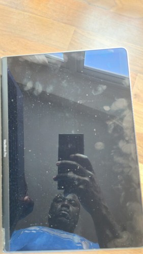 Apple macbook pro - apple, 13