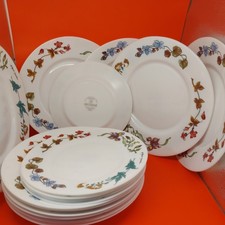 Arcopal France Elysie Garden