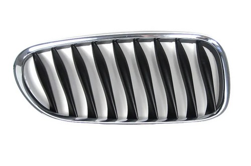 Bmw e85 griglia - e85, radiatore