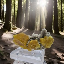 Minerali◇Zolfo Provenienza