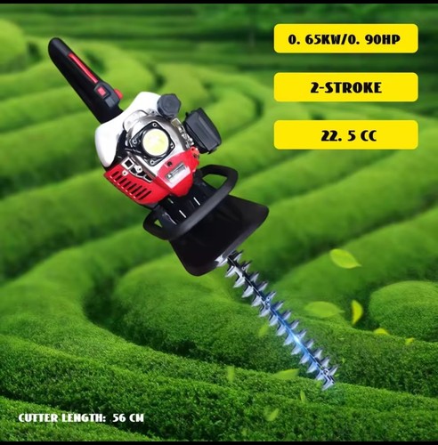 Tagliasiepi benzina motore - a,
