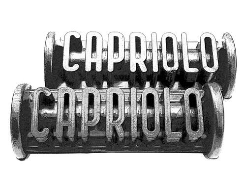 Capriolo pedane rilievo - capriolo,