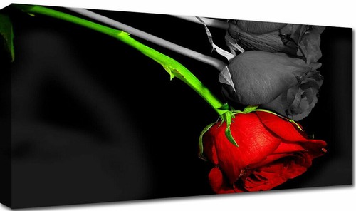 Quadri moderni 120x60 fiori - quadri,