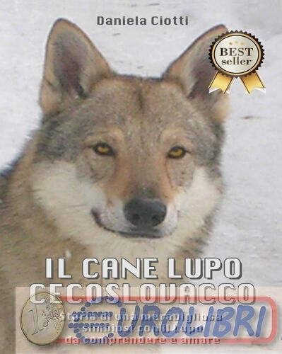 9788867512348 daniela ciotti - 9788867512348,