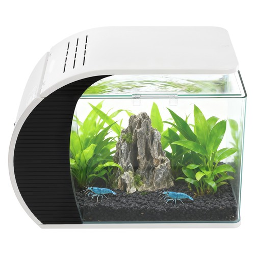 Acquario vetro con pompa - con, e