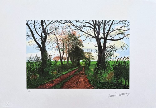 David hockney tunnel di - david,