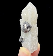 55mm 25g Magnetite Luminosa su