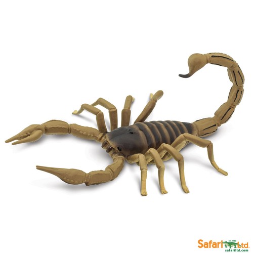 Safari ltd 100260 - 100260, 18