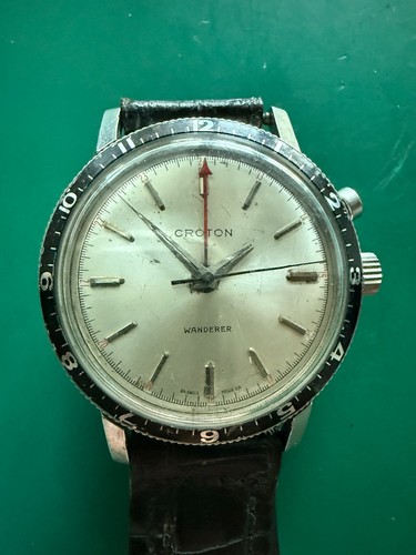 Croton wanderer vintage - croton,
