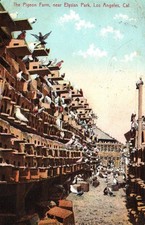 FATTORIA DEI PICCIONI vicino