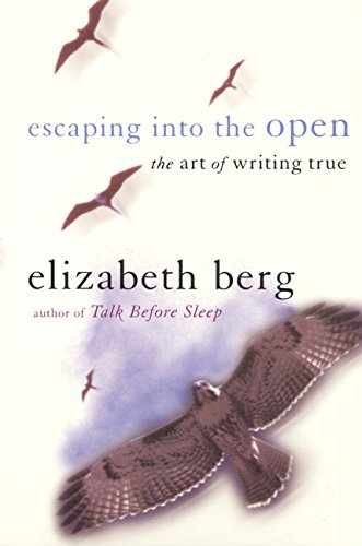 Escaping into the open - into,