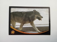 FIGURINA ANIMAL CHAMPIONS