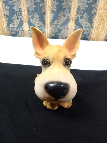 Chihuahua raro salvadanaio dal - chihuahua,