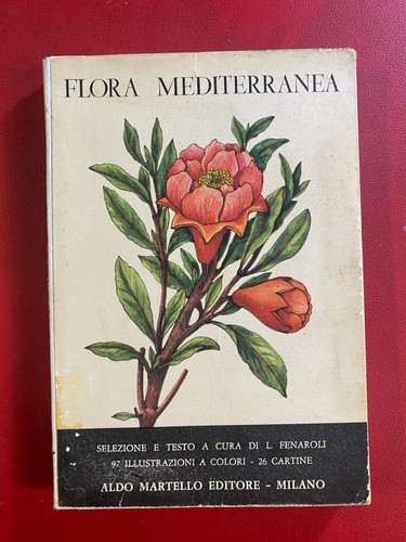 Fenaroli flora mediterranea - -,