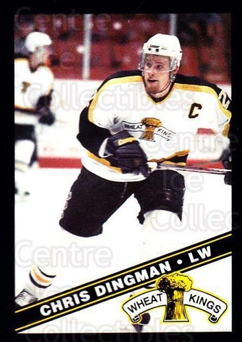 1995 brandon wheat kings - brandon,
