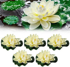 Fiori di Loto Galleggianti