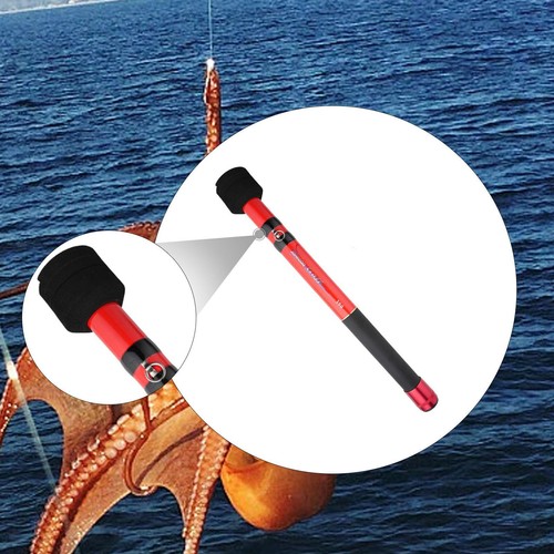 Raffio pesca telescopico - raffio,