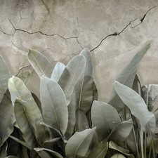 Fotomurale carta da parati