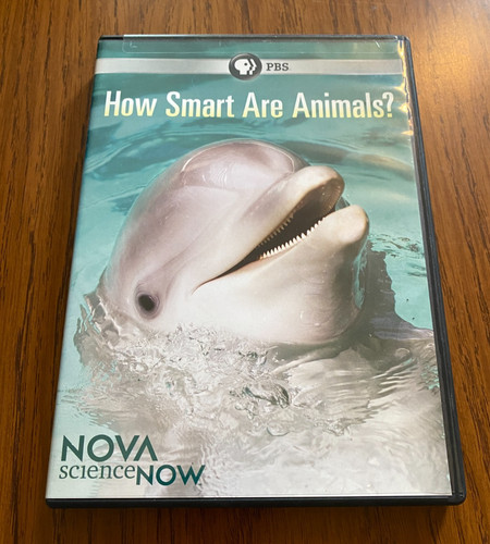 How smart are animals dvd - how,