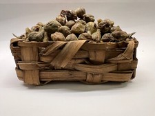 PRESEPE NAPOLETANO DEL '700