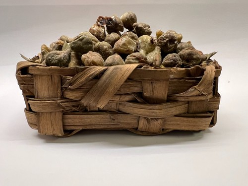 Presepe napoletano del - del, '700