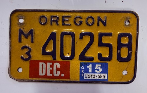 American license plate - license, man