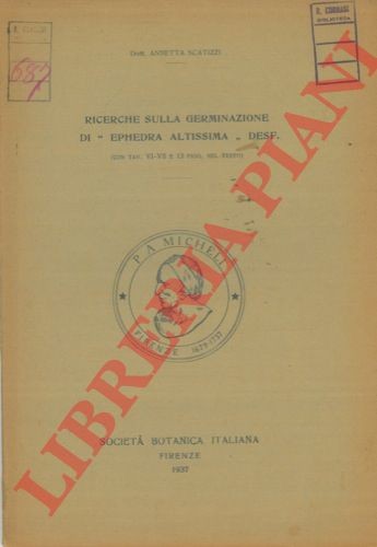 Scatizzi annetta ricerche - -,
