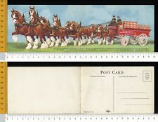 V2562] PUBBLICITARIA BIRRA BUDWEISER CARTOLINA DOPPIA TRASPORTO CAVALLI BIRRA