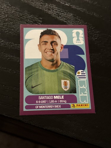 2026 panini fifa world - panini,