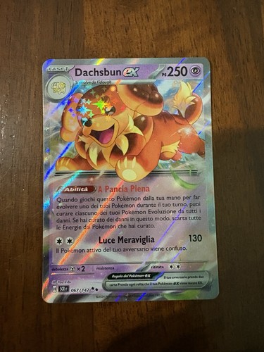 Carte pokémon dachsbun - carte,
