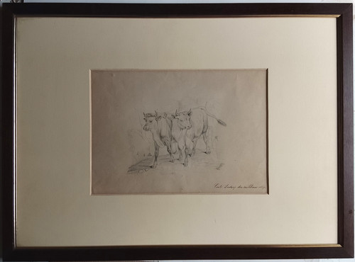 Disegno matita xix - disegno,