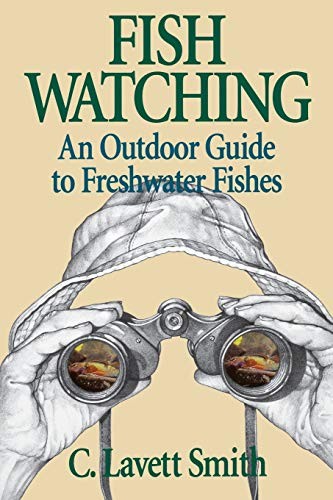 Fish watching outdoor - fish, watching: