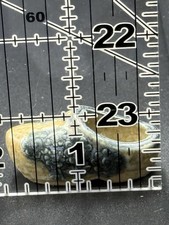 Vintage Miniature Pottery