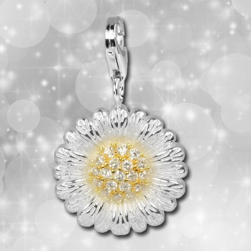 Charm ciondolo argento 925 - charm,