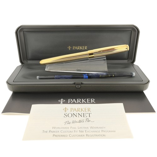 Penna stilografica parker - stilografica,