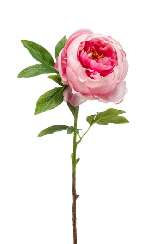 Peonia artificiale con fiore - peonia,