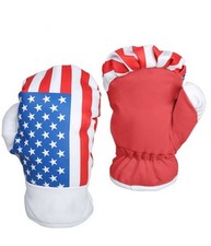 Guantoni Da Boxe Pugilato