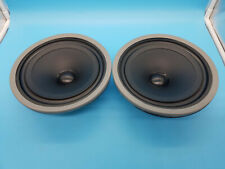 Radiatori passivi vintage B&W