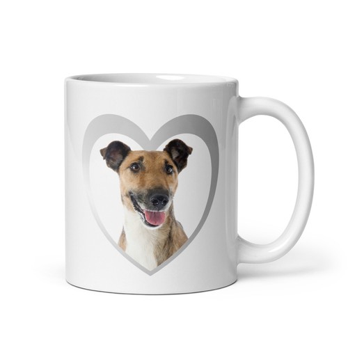 Tazza love foxterrier - tazza, my