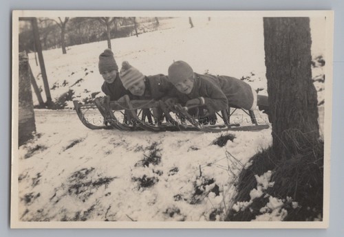 Ragazzi slitta 1931 - 3,