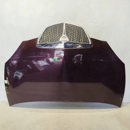 51872629 cofano ant lancia - cofano,