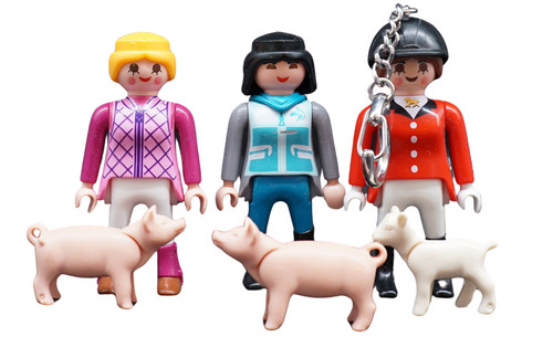 Playmobil cavaliere maneggio
