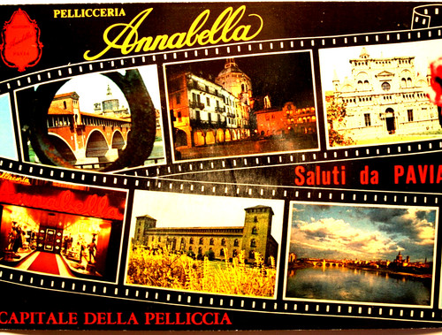 Cartolina saluti pavia - da,