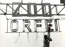 1954 MILANO Circo ORFEI Festa per la nascita di cinque cuccioli di leone *Foto