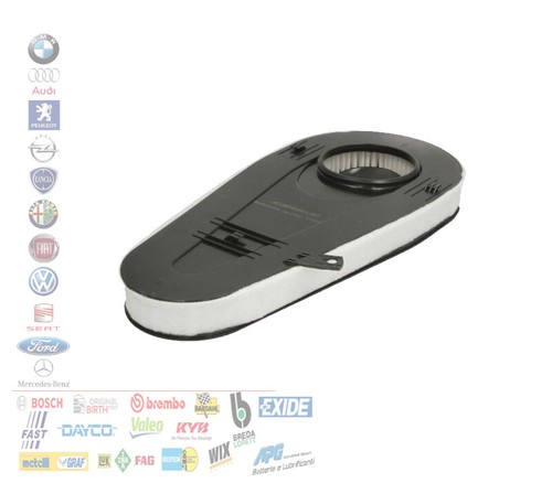 Cartuccia filtro aria motore - cartuccia,